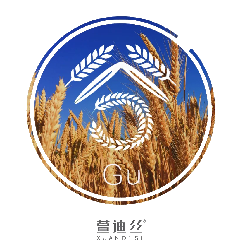 Xuandi Si